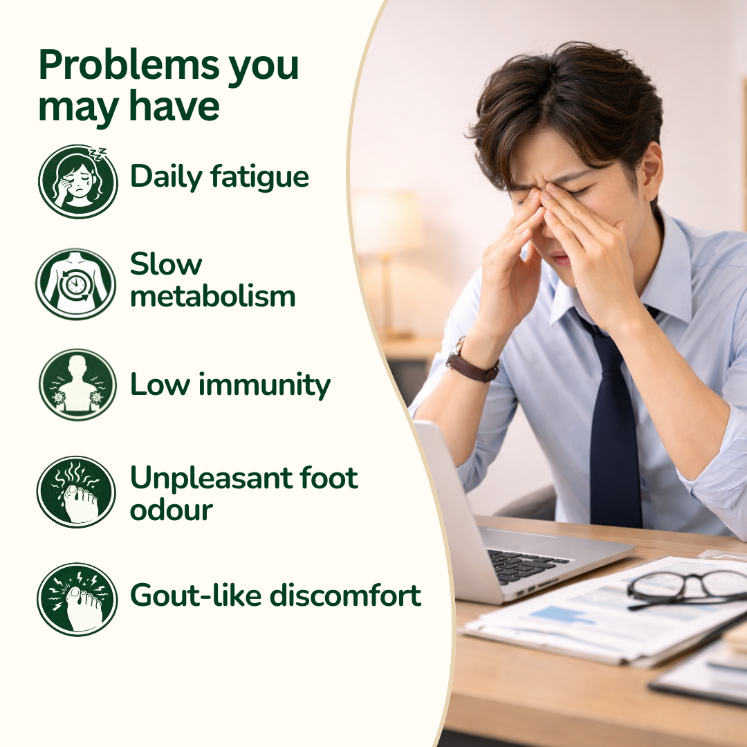 Detox Foot Patch - Bamboo Vinegar 50 Pcs