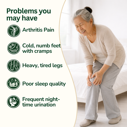 Detox Foot Patch - Old Ginger + Wormwood 50 Pcs