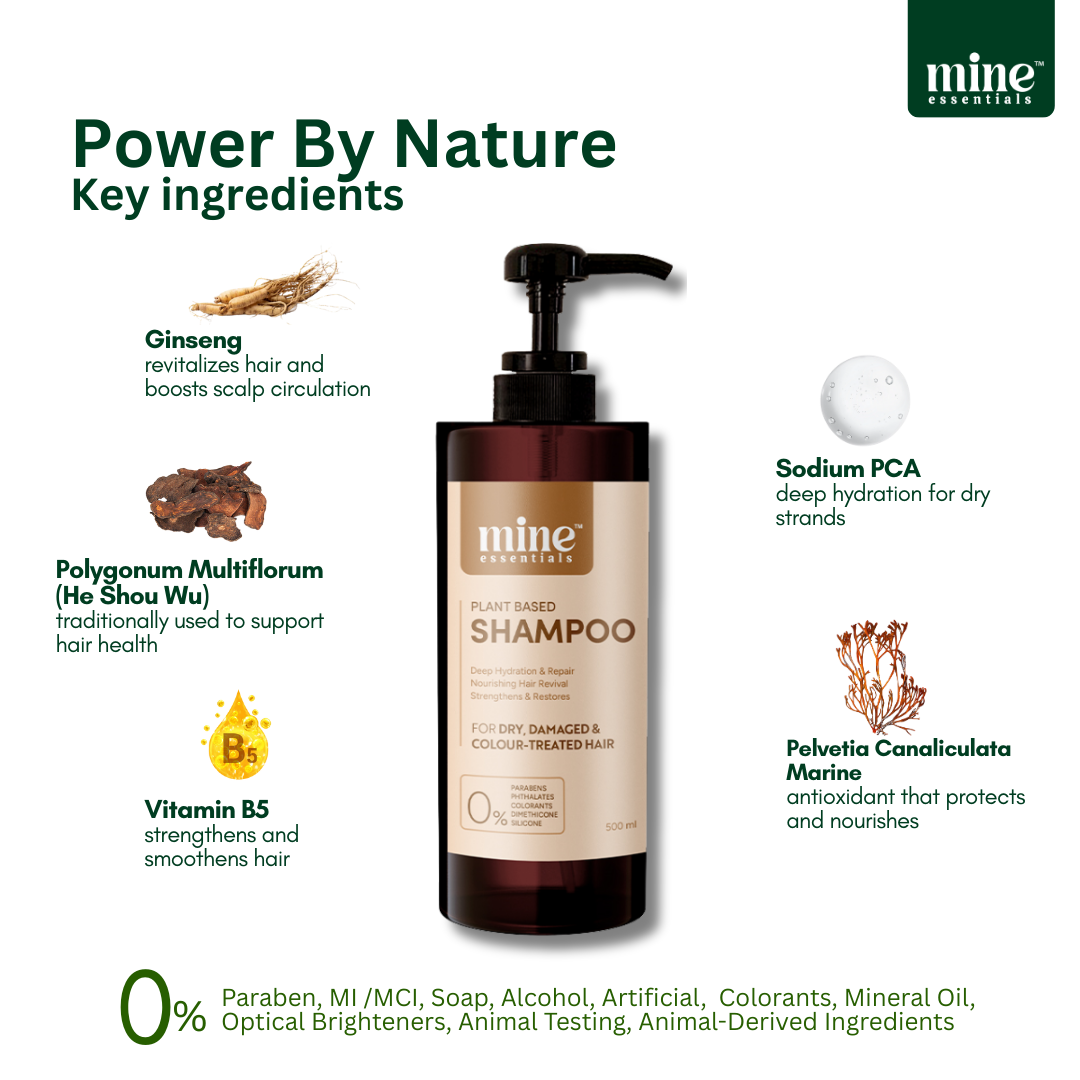 Shampoo - For Normal to Dry Hair 500ml - Strengthens & repairs damaged hair | Restore softness & smoothness | hydration