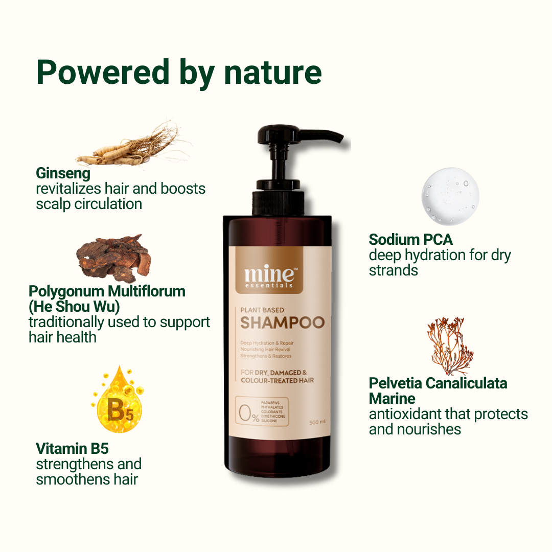 Shampoo - For Normal to Dry Hair 500ml - Strengthens & repairs damaged hair | Restore softness & smoothness | hydration
