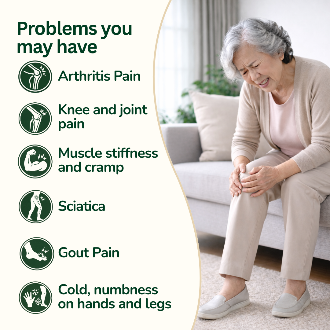 Relief & Soothing Ginger Plaster 5 pcs